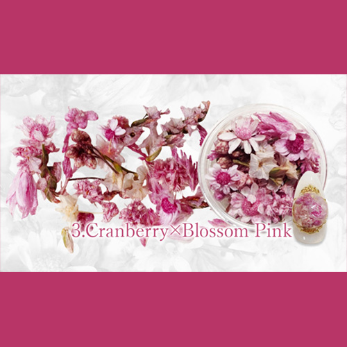 フルレット2 3.Cranberry×Blossom Pink