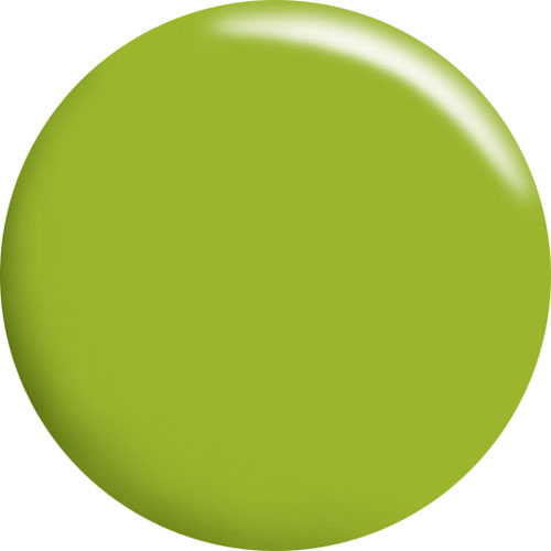 カラージェル CGGR03S 4g ピスタチオグリーン
