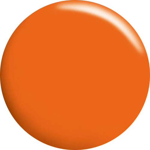 カラージェル CGOR01S 4g フレッシュオレンジ