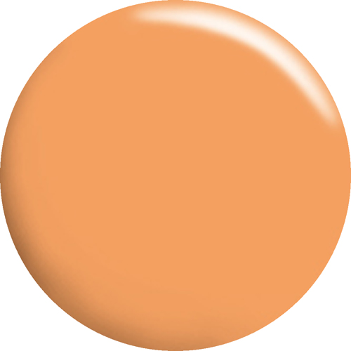 カラージェル CGOR04S 4g トロピックオレンジ